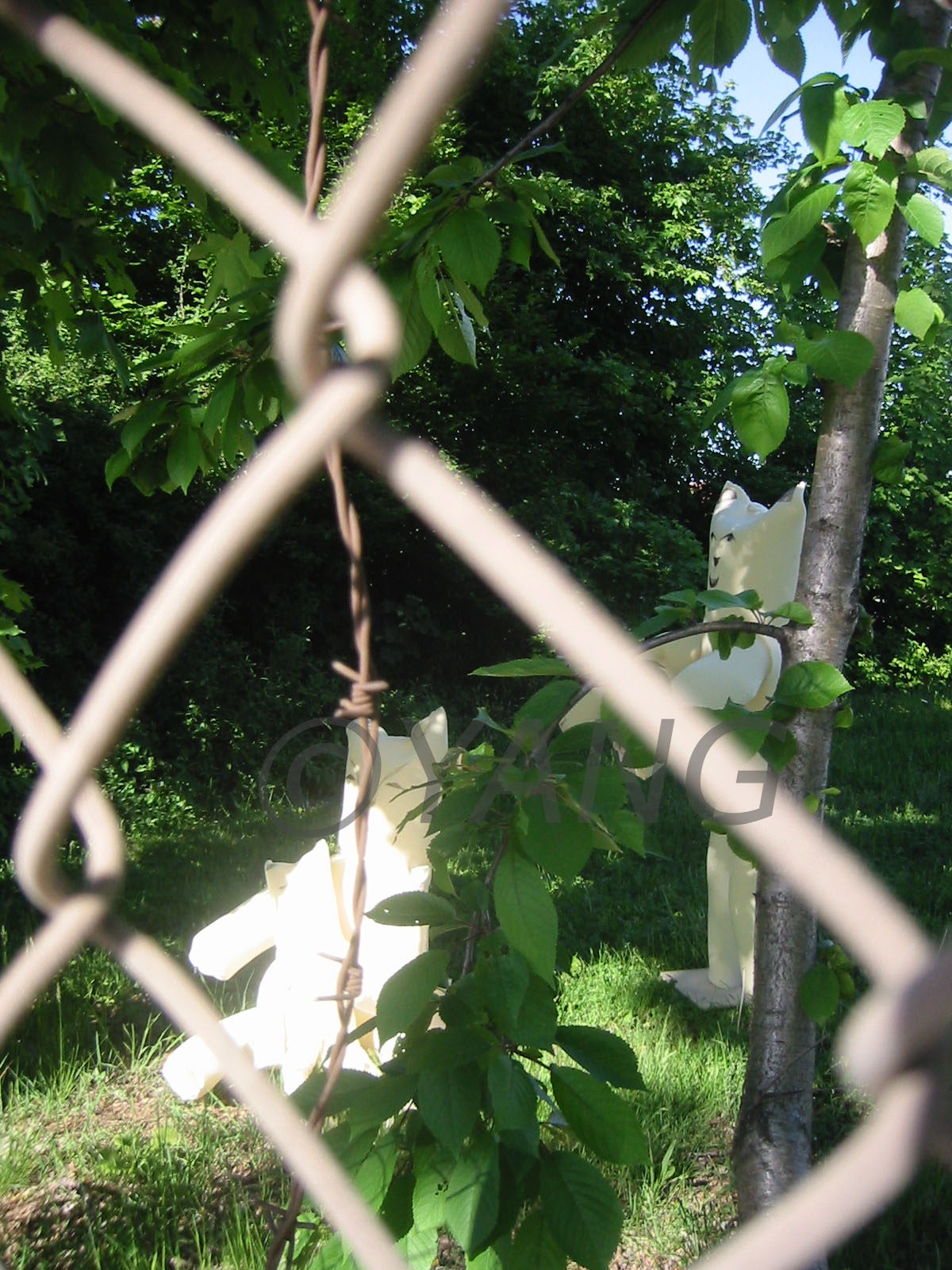 "Hoffnung - Hope" Bild 2